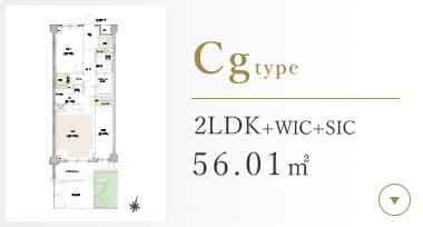 Cgtype