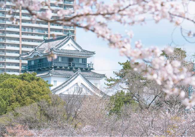現地周辺の街並み