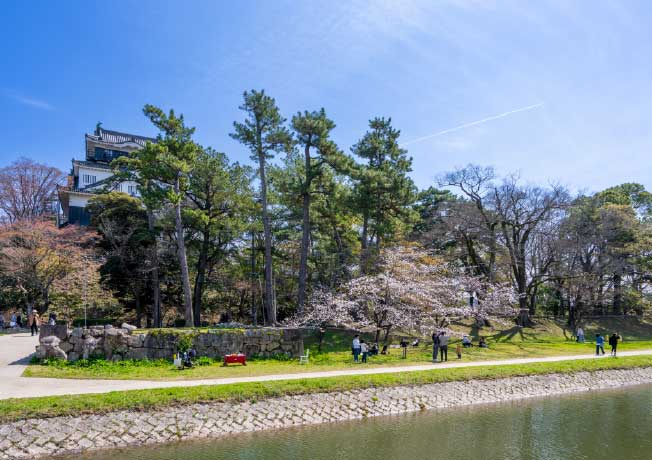岡崎城公園