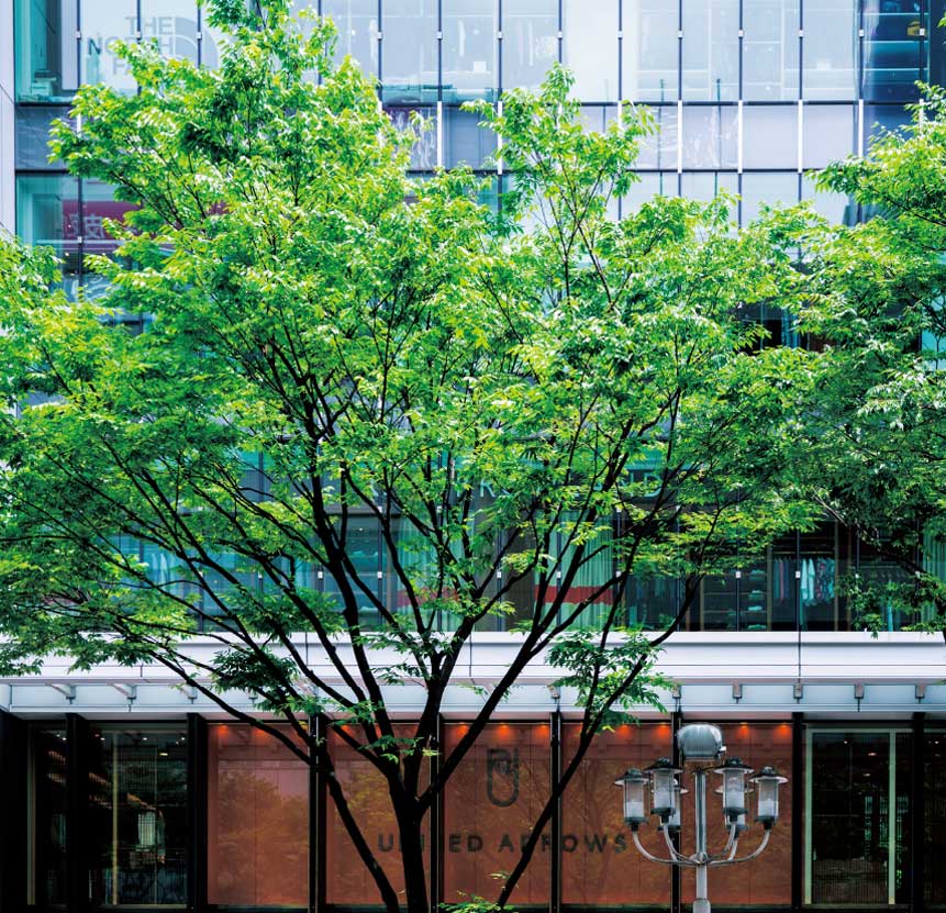 SAKAE