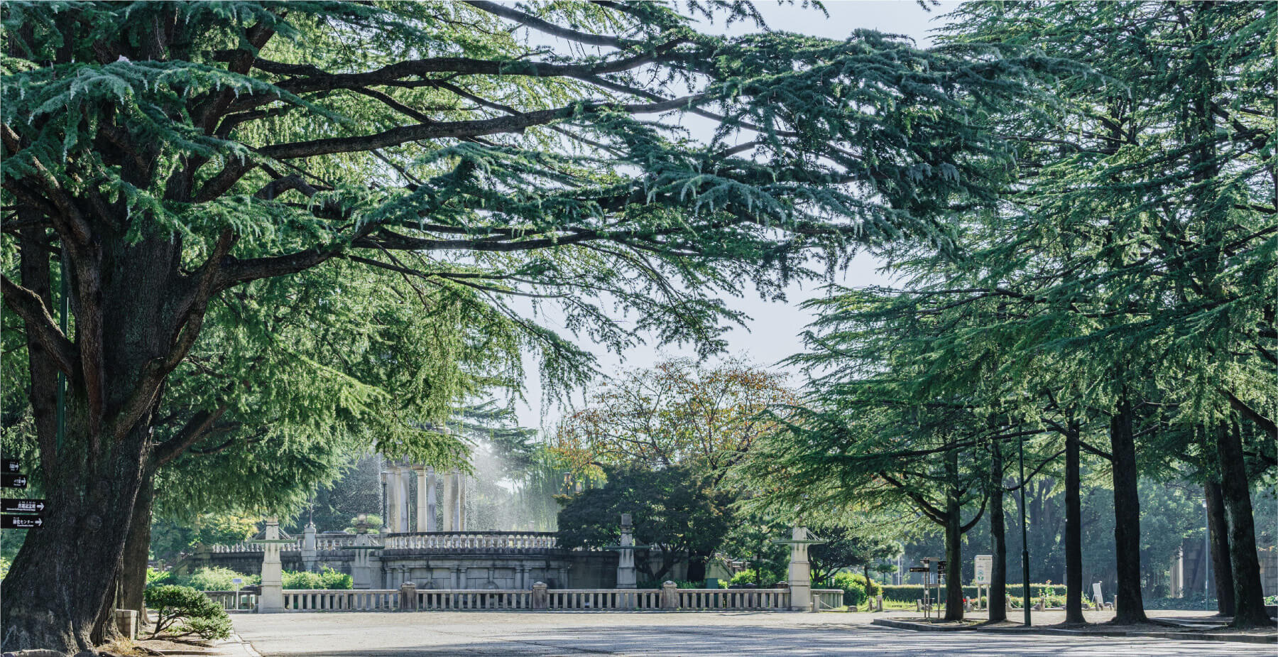 鶴舞公園/徒歩20分