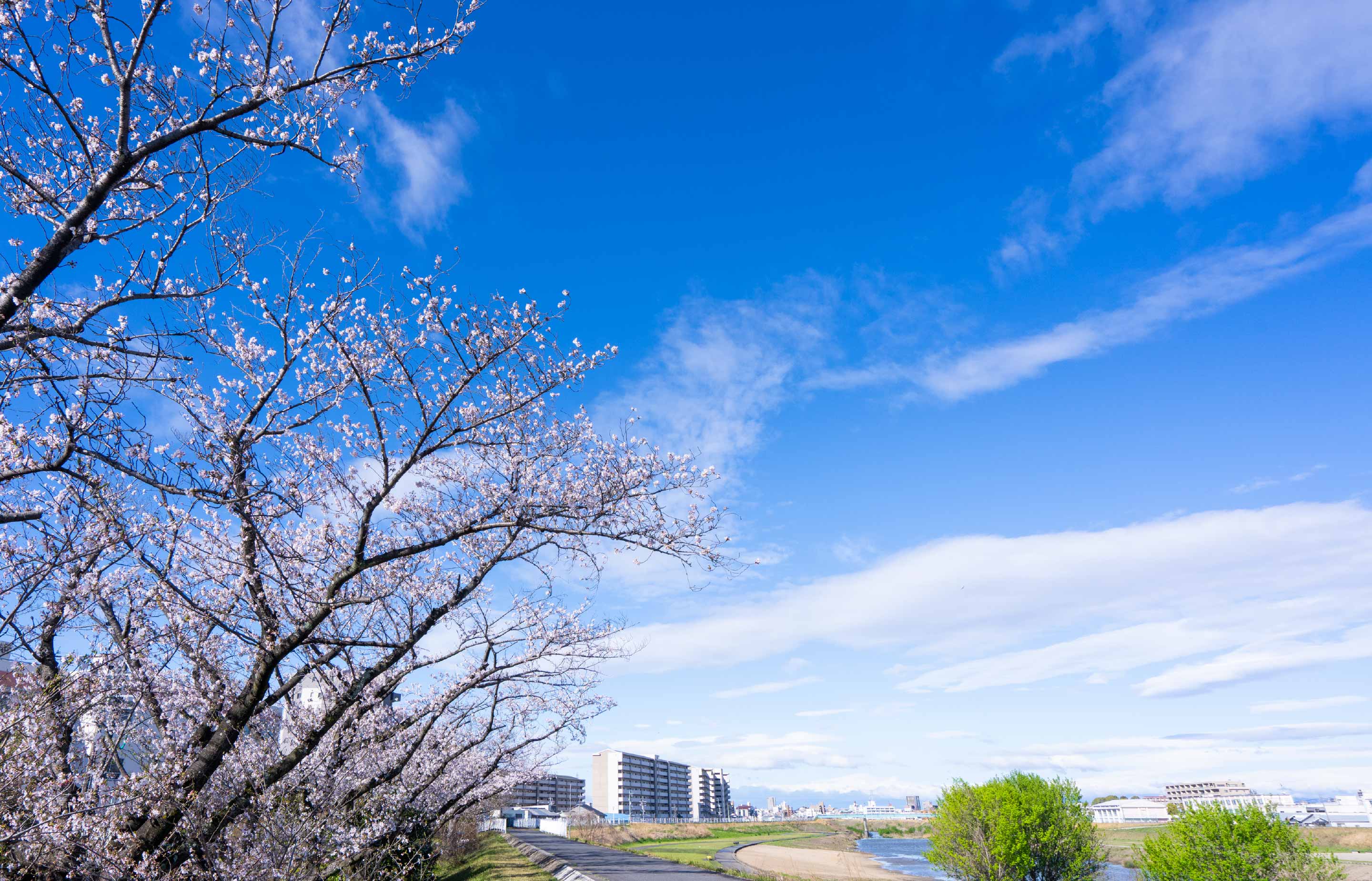 現地周辺の街並み